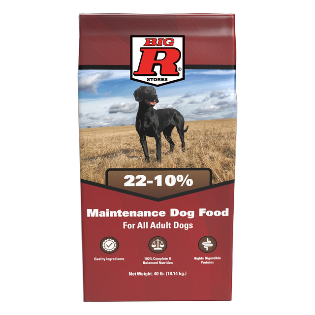 Big R 22-10% Maintenance Adult Dog Food - 40 Lb Bag
